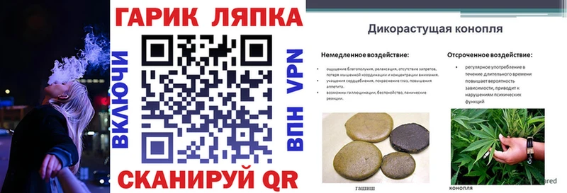 ГАШ Изолятор  Купить закладки  Дыгулыбгей 