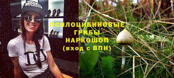 синтетический гашиш Заводоуковск